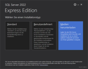 MS SQL Setup Installationstyp